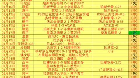 《巴黎人报》：于帕梅卡诺复出战延至5月上旬开战
